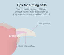 將圖片載入圖庫檢視器 Pet Gravity寵物LED 指甲鋏