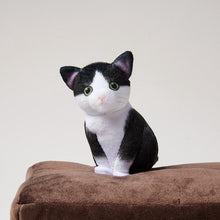 將圖片載入圖庫檢視器 FELISSIMO CORPORATION 小貓捉迷藏紙巾盒套2
