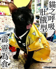 將圖片載入圖庫檢視器 鬼滅之刃寵物服飾
